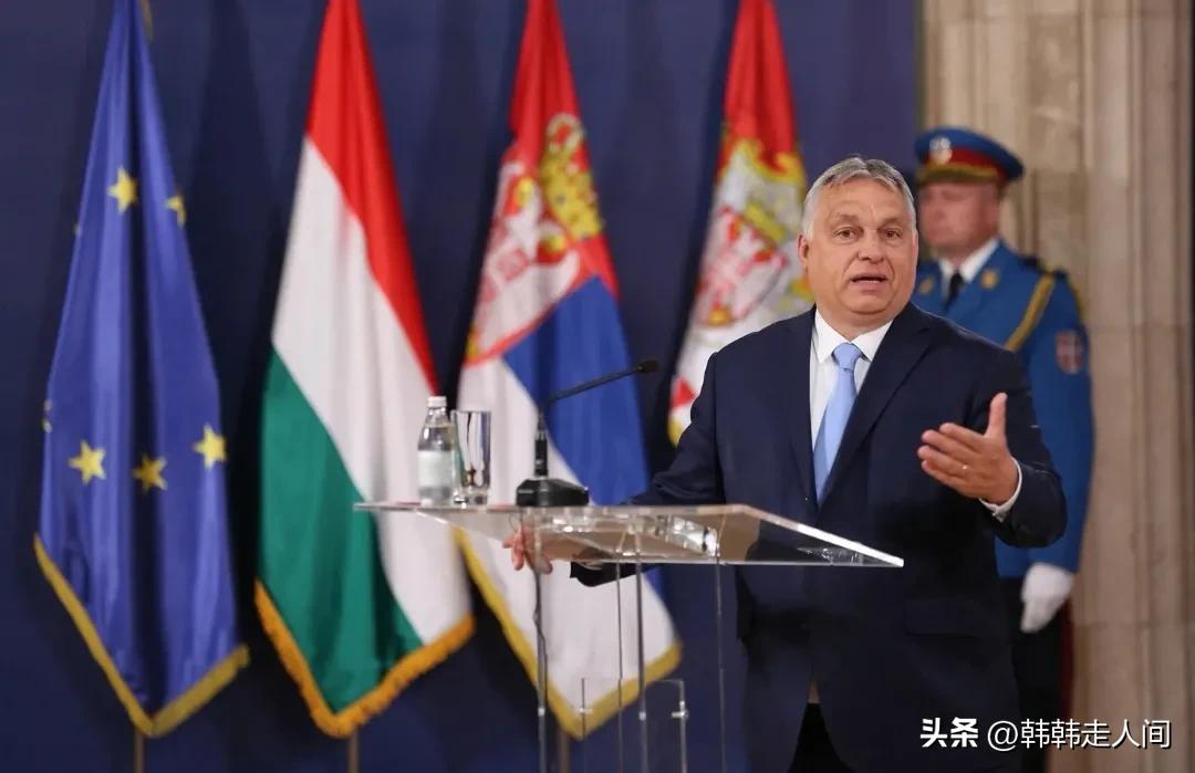 外媒评价匈牙利力挺中国,匈牙利在欧盟力挺中国