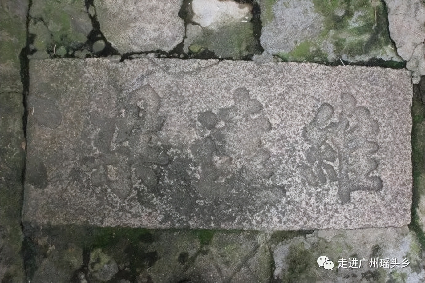 肇庆市联星村,海珠区联星村