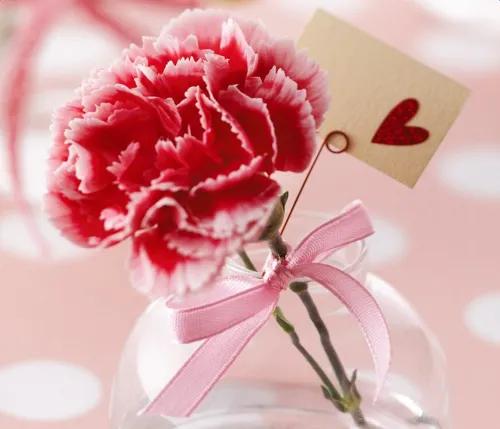 康乃馨花束壁纸,康乃馨壁纸手机超清全面屏