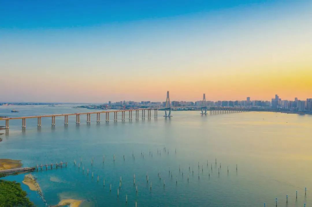 湛江菠萝海,湛江菠萝的海全景