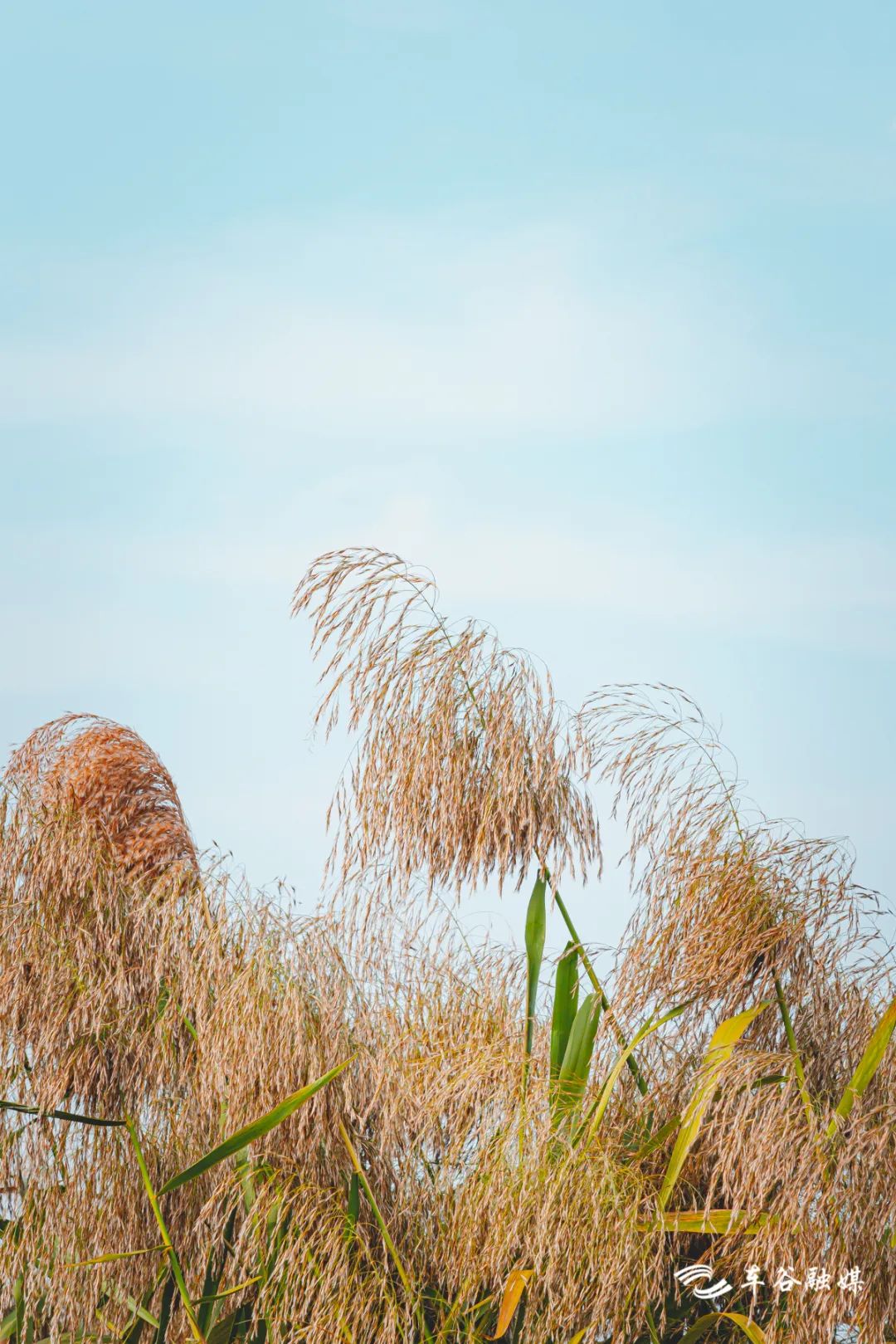 淘金山骑行绿道和东湖骑行绿道,周末绿道骑行一路都是美景