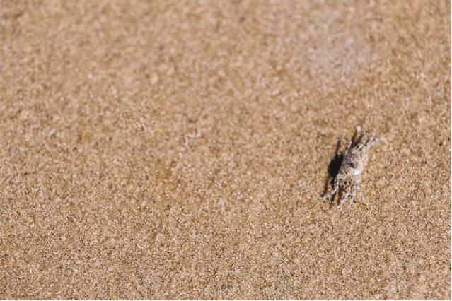 不用出国在深圳看到的美景,深圳有什么景点去看的不要钱的