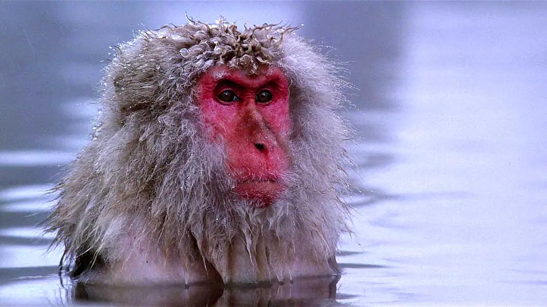 如果人类可以随意穿梭太空,如果人类进入外太空会怎么样