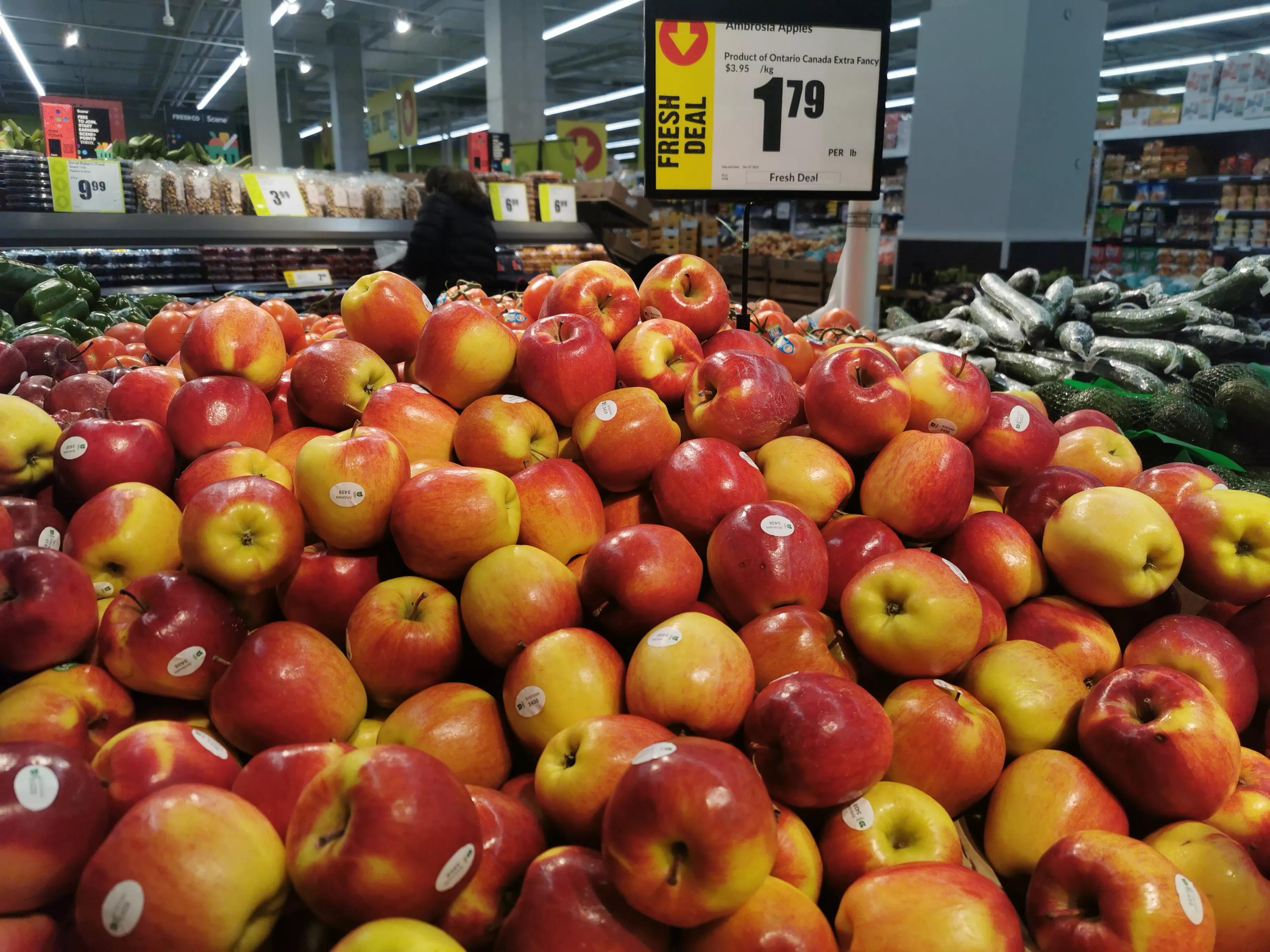 把食品价格降下来！北约克西人鲜哥超市（FRESHCO）的经营口号