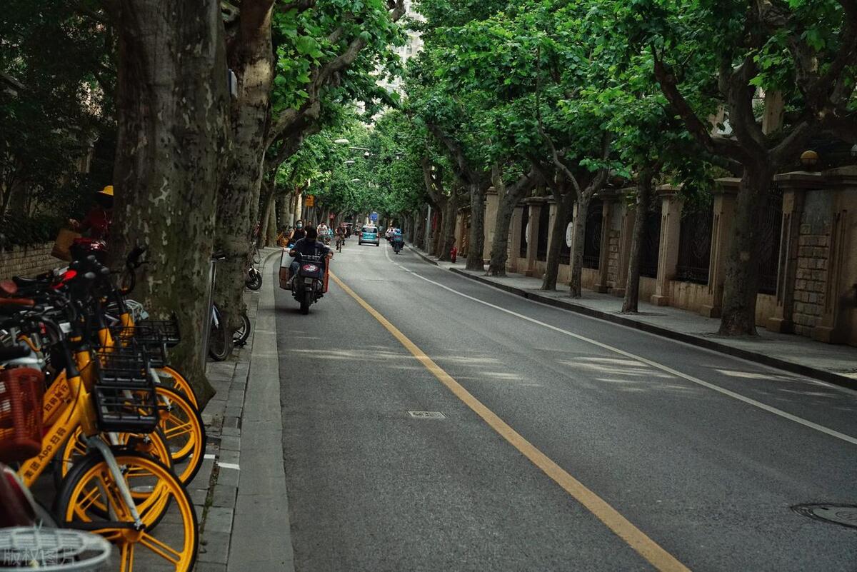 上海旅游十大必去景点推荐,上海浦东旅游必去景点推荐一日游