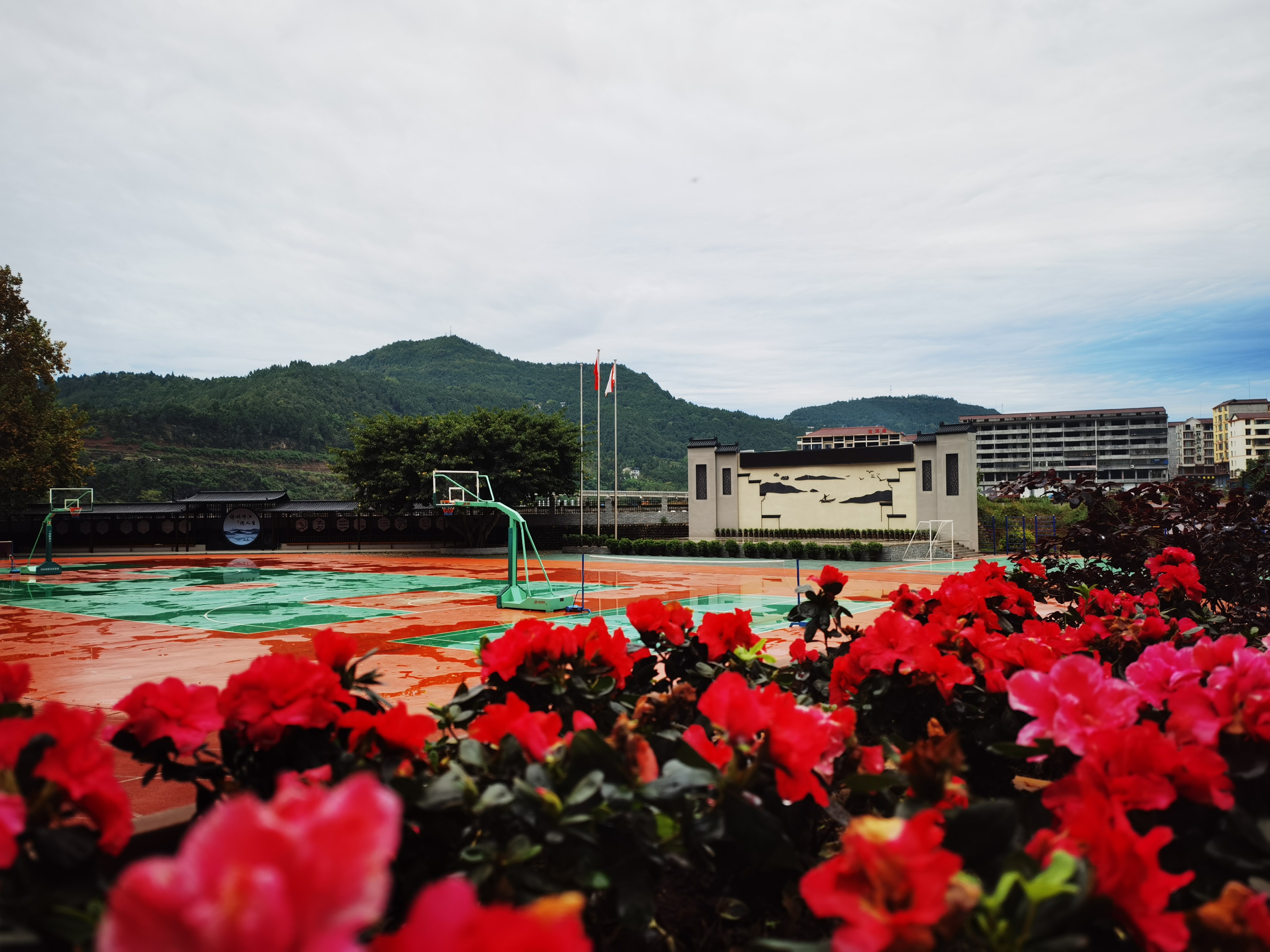 四川省广元市苍溪县歧坪镇学校,苍溪县歧坪中心小学