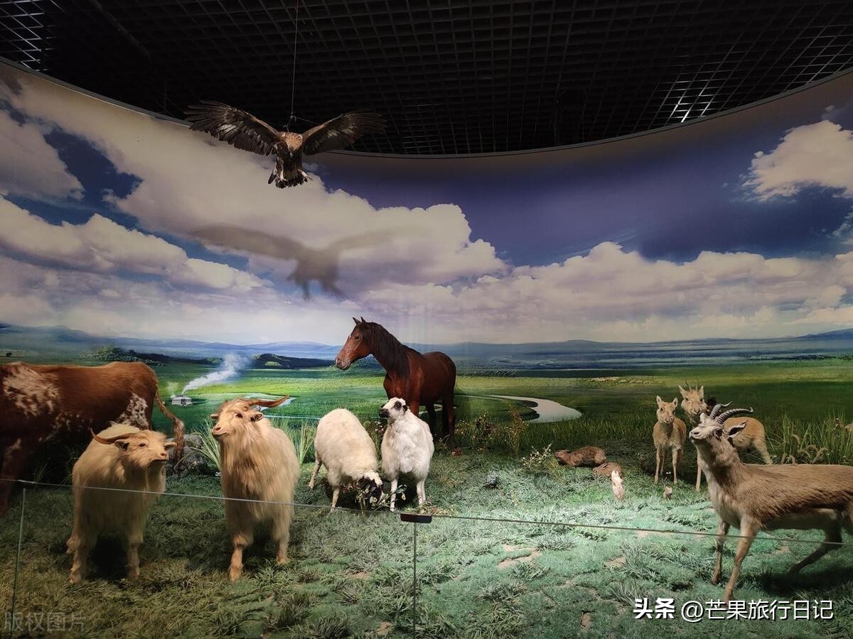 呼和浩特三种宗教,呼和浩特宗教历史