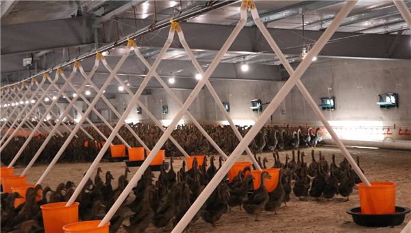 高邮鸭集团食品加工有限公司,江苏高邮鸭集团食品加工