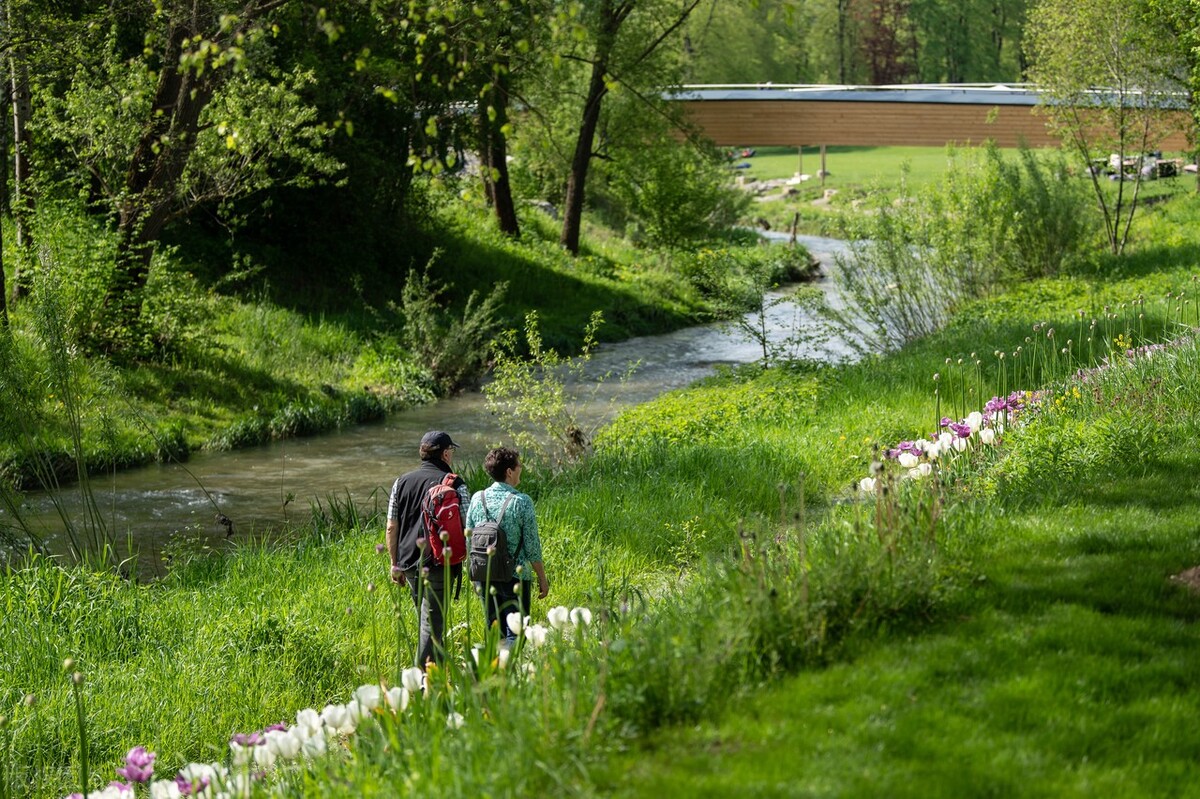 收藏各类发票,数电纸质发票类别