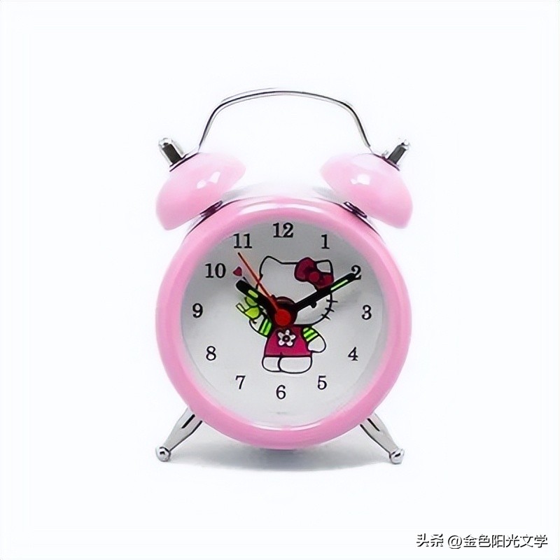 小学作文心爱之物点评,心爱之物300字作文