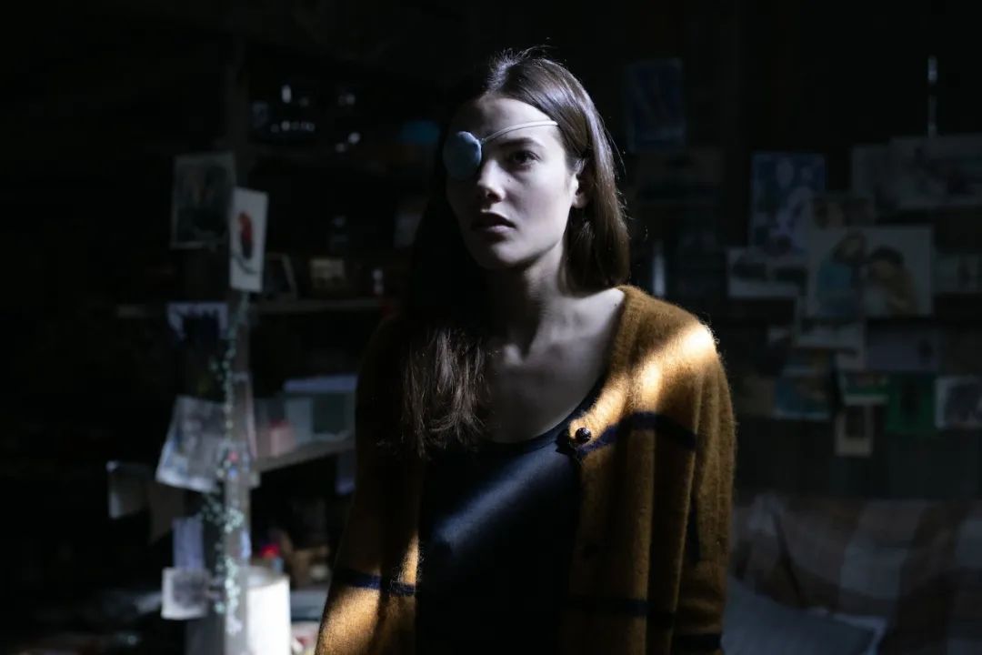 网飞最新好片推荐,网飞高分电影神片