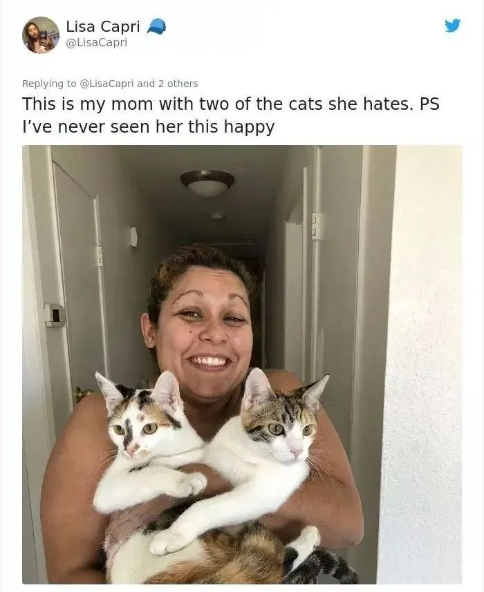 我家猫尿进了洗衣篓里，我爸为了包庇猫说，是他尿的···