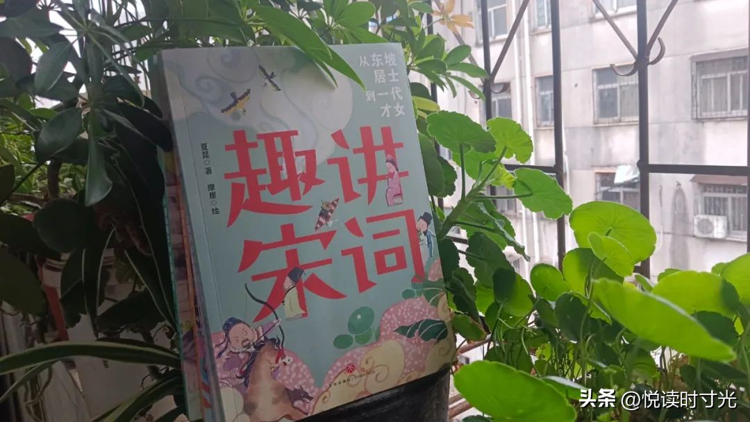 解读最美唐诗宋词,唐诗宋词经典推荐及阅读心得