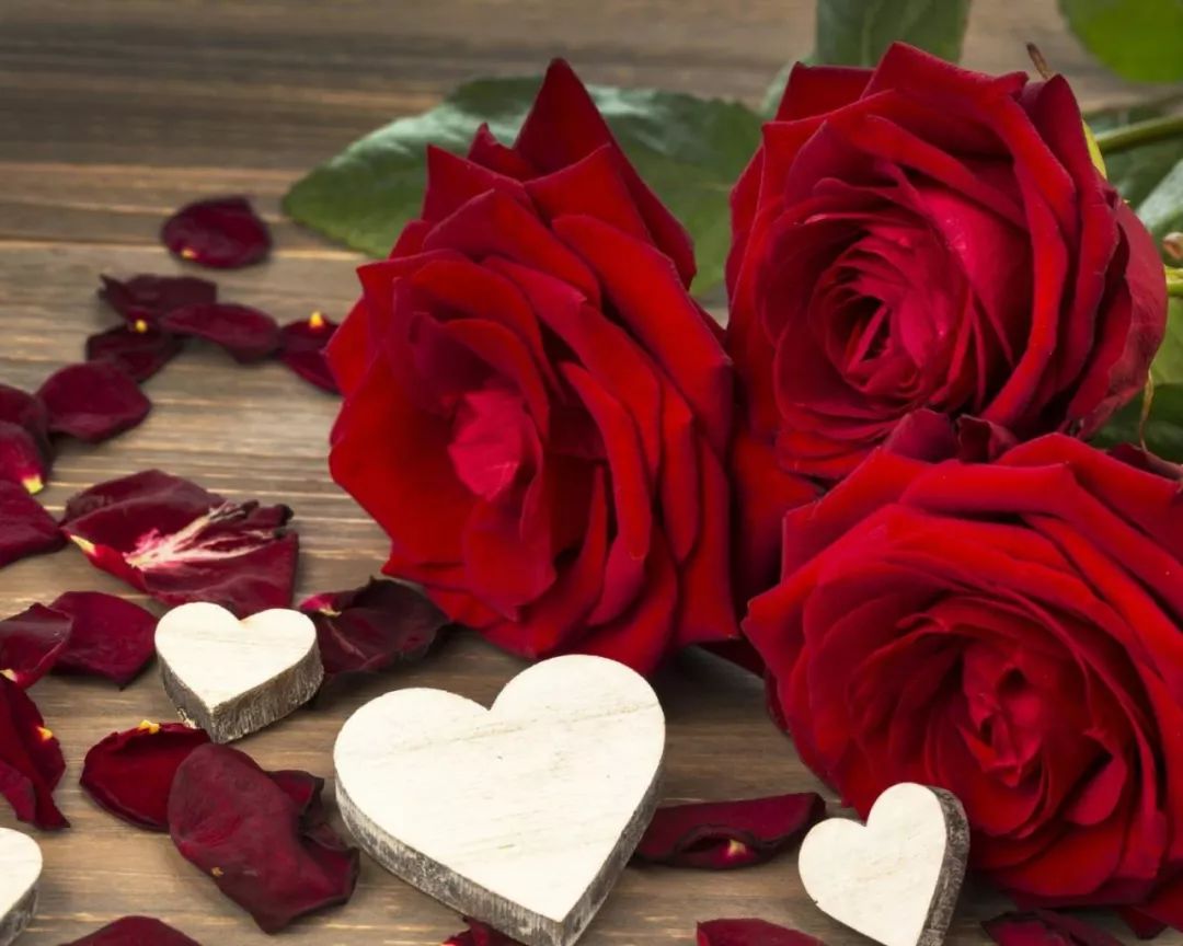 520致我爱的人和爱我的人,520致对我最在乎的人