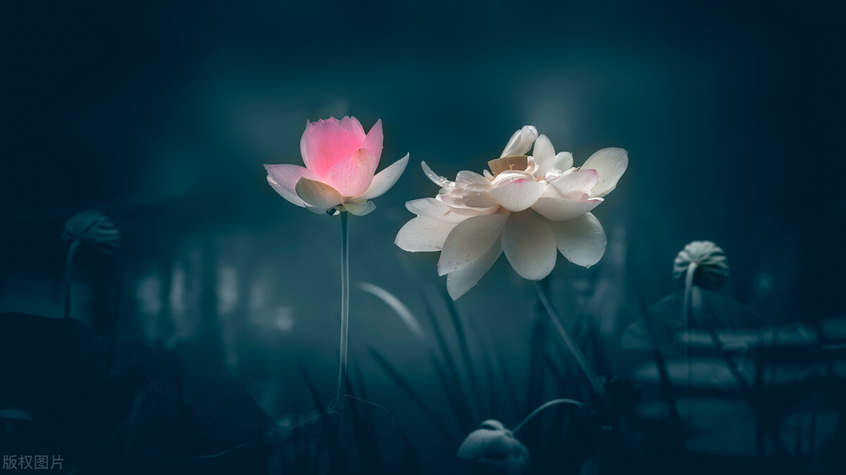 兄弟姐妹之间交往要牢记这七点,兄弟姐妹来往的七点条件和分寸