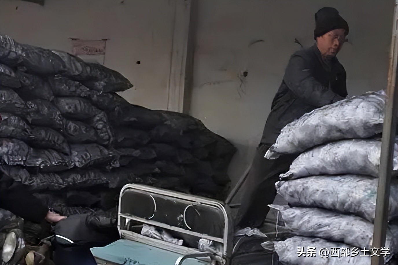 尕猴（纪实文学）