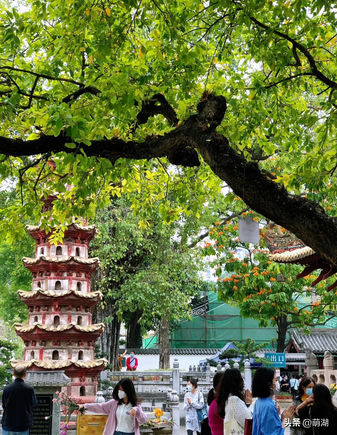 夏天去广州旅游攻略一天,广州旅游攻略一天一夜自由行