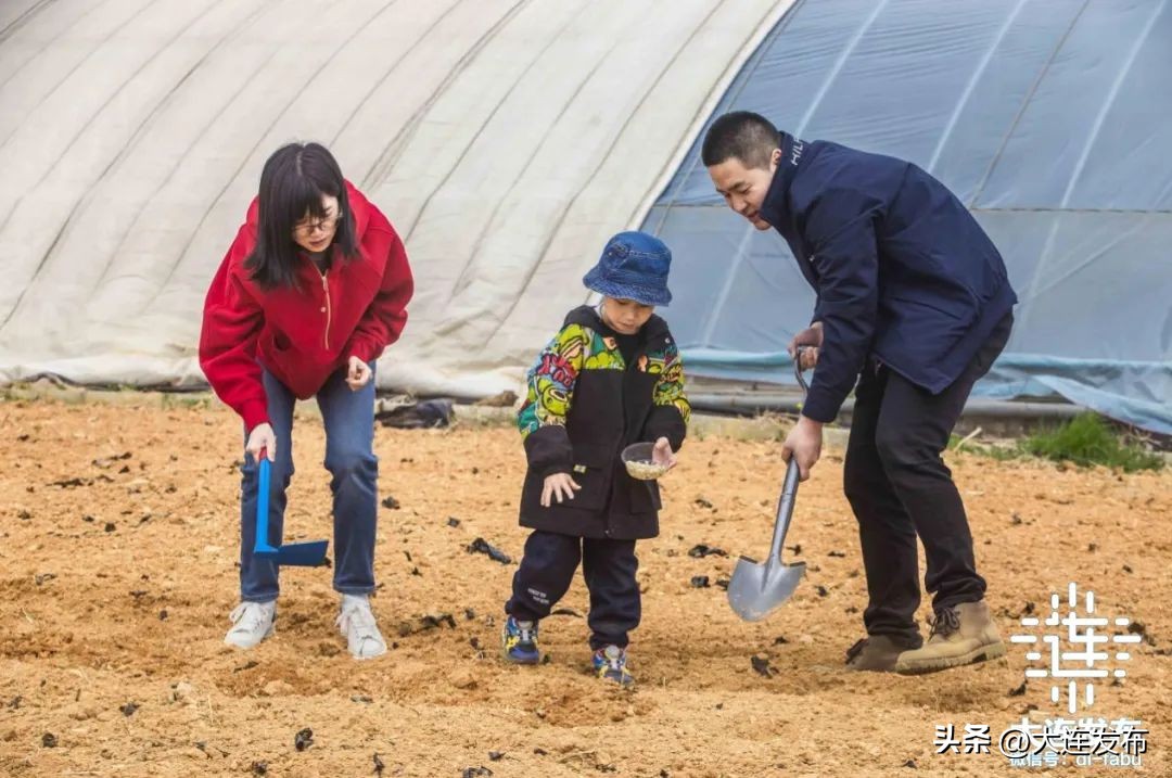 最新旅游景区发展,杭州大明山风景区五一攻略