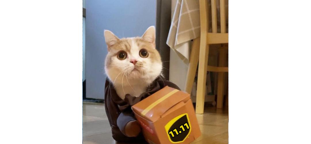 国货小棕瓶推荐,小棕瓶的平价替代