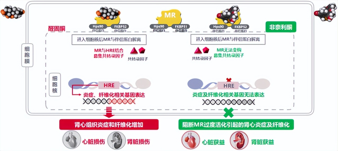 临床试验患者收益率高吗,临床试验获益风险评估