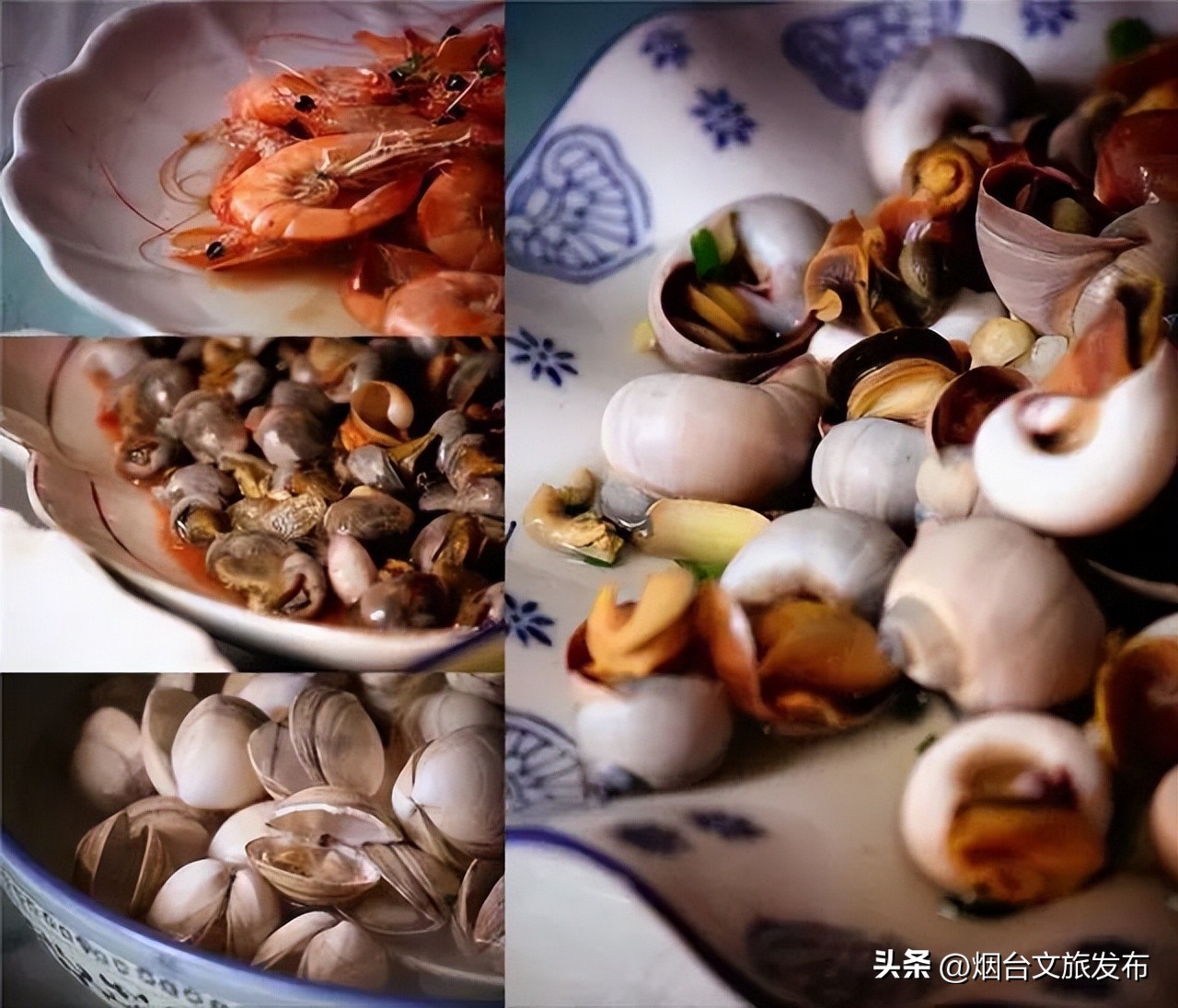 魅力海阳行,魅力新浦海阳