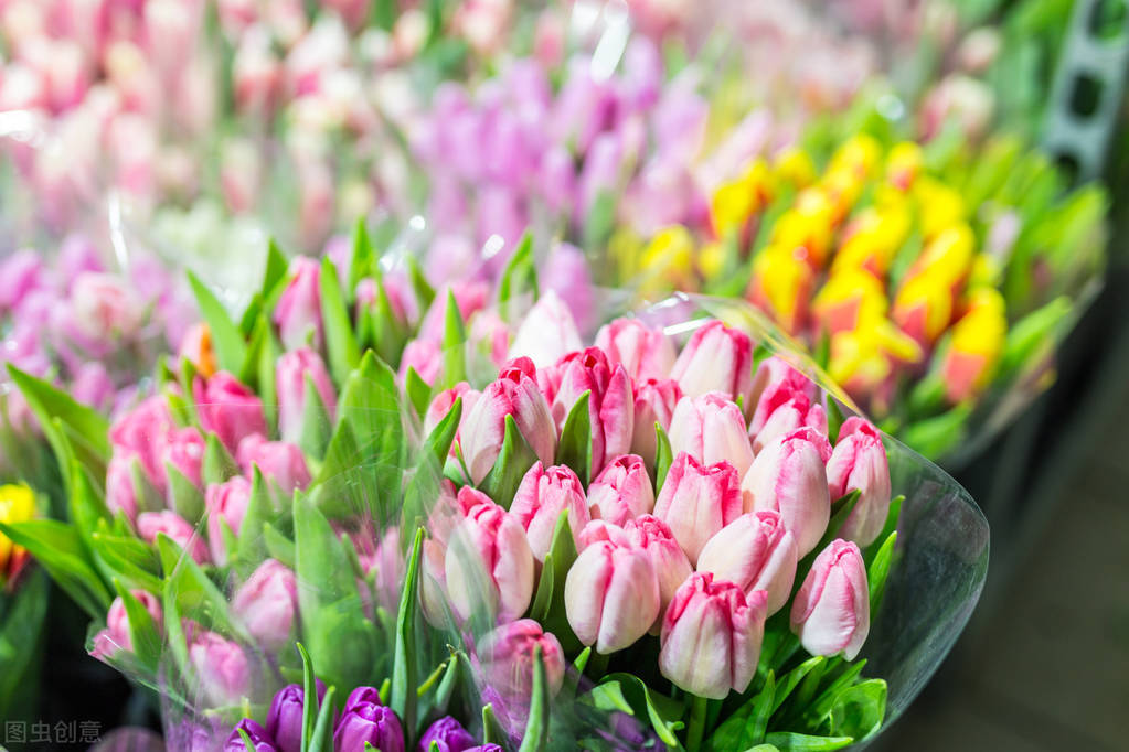 花卉批发市场有哪些种类,花卉批发前景