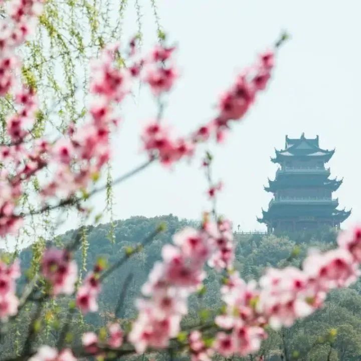 快上车app官网,快上车在哪设置