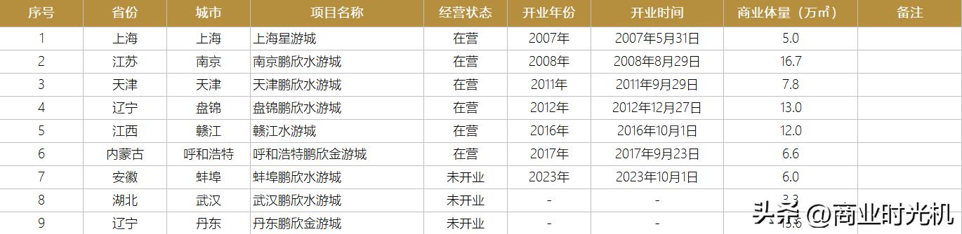 鹏欣集团商业项目,鹏欣集团开发项目