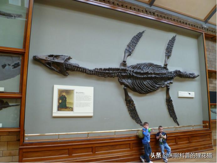 史前巨兽十大海洋霸主战斗力排名,史前最危险的十大海洋巨兽