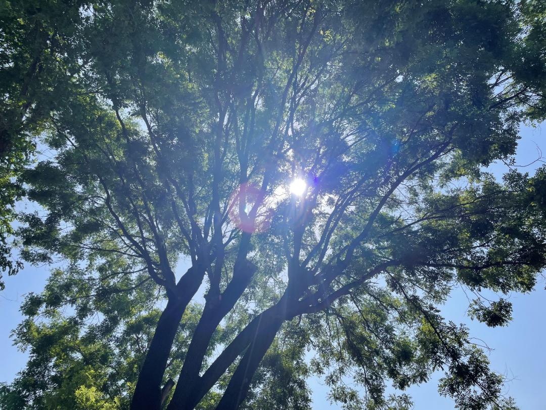 随县炎帝学校团队赴北京参会纪实