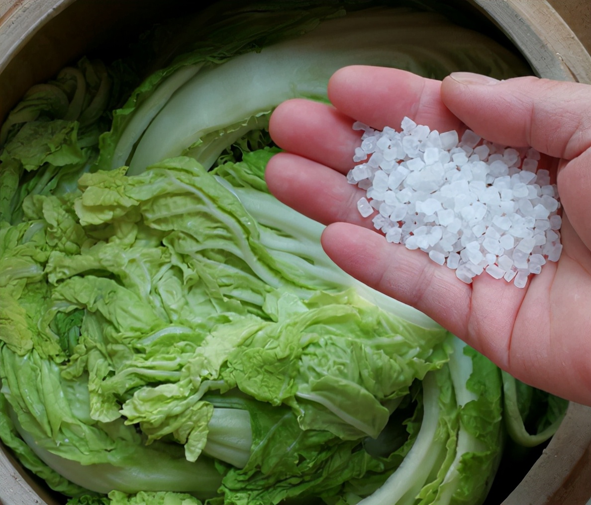 腌制酸菜的方法酸脆开胃超好吃,怎么腌制酸菜好吃又不烂又放得久