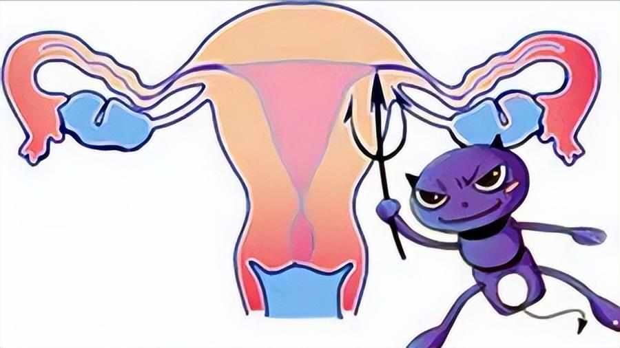 女性阴道生理科普知识大全,女性阴道生理科普点