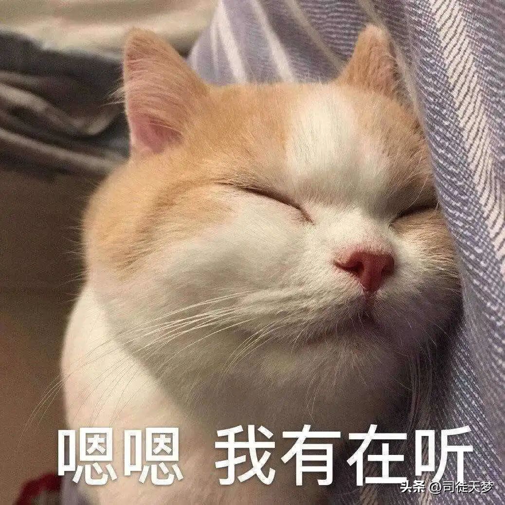 虞书欣内衣外穿热舞被骂上热搜，少女性魅力绝杀好吗