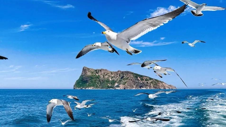 北京游客在长岛旅游攻略,烟台长岛旅游攻略一日游