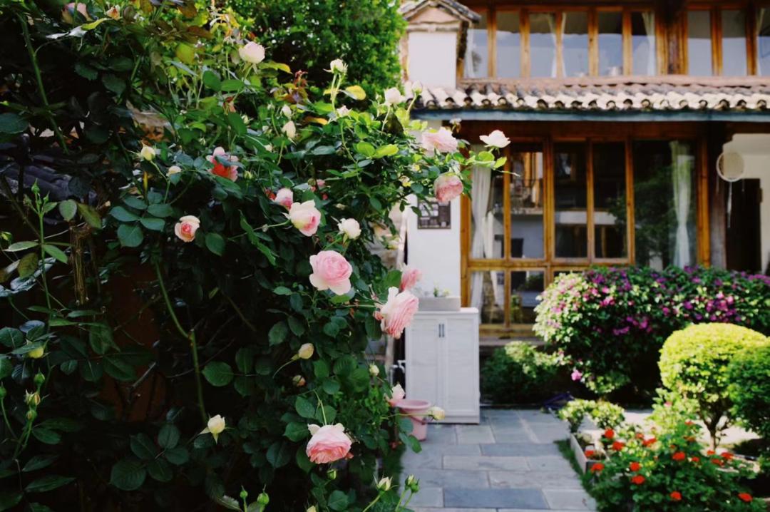 大理攻略｜诺邓古村，不只有盐与火腿的交响曲