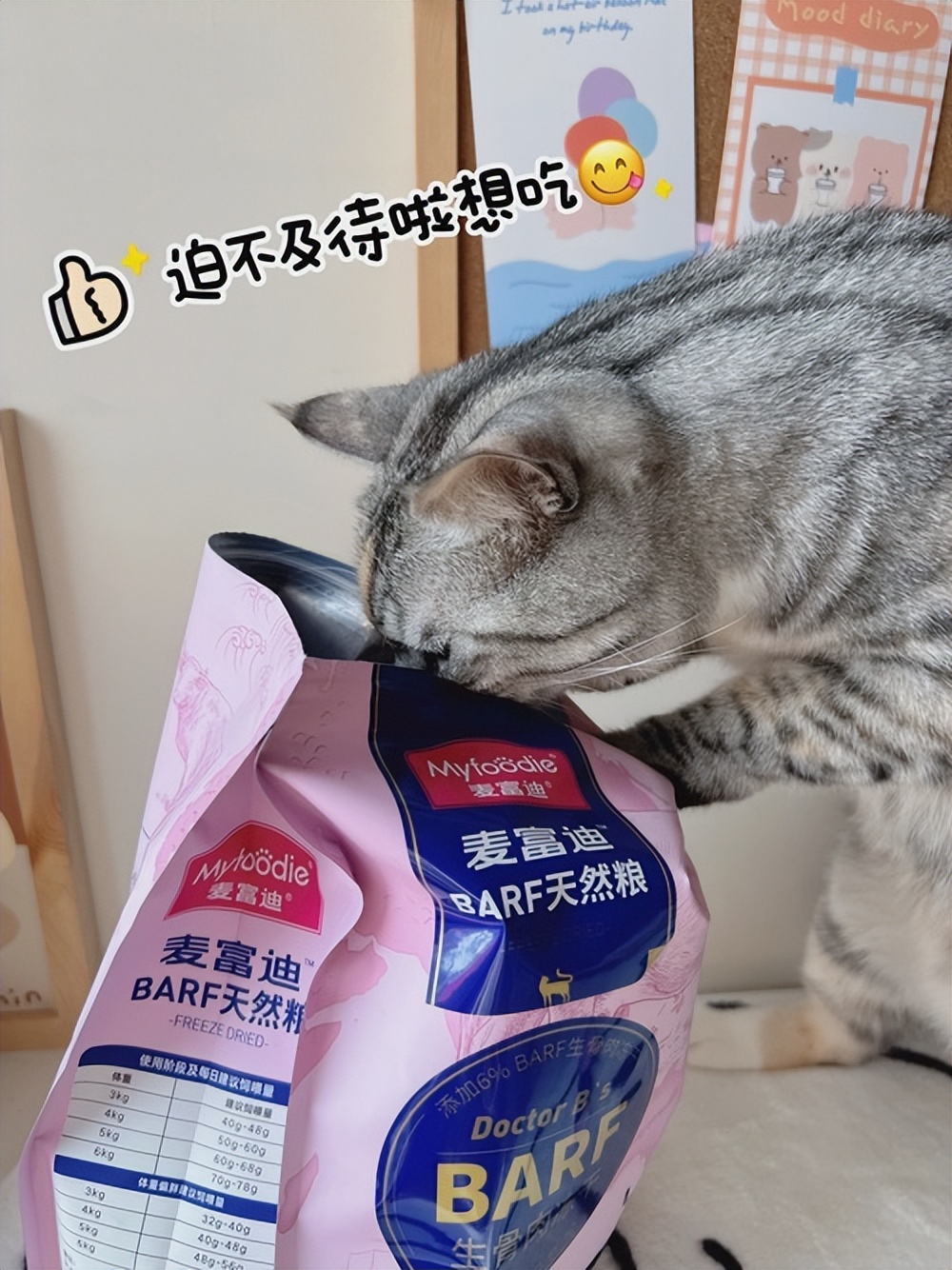 猫咪一直蹲着尿不出来怎么办,猫咪拉不出尿怎么办快速解决