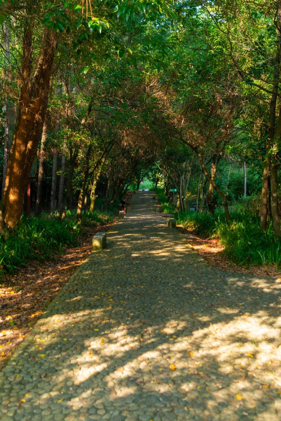 暑期特辑,长安三万里电影暑期