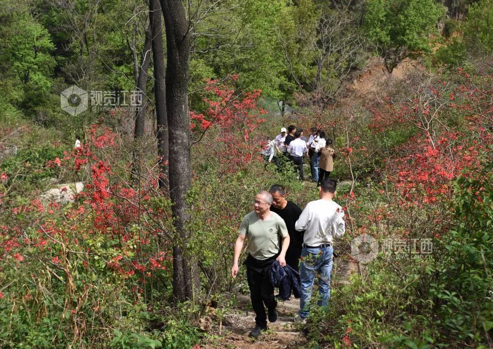 江西看尽人间冷暖,看江西赣剧