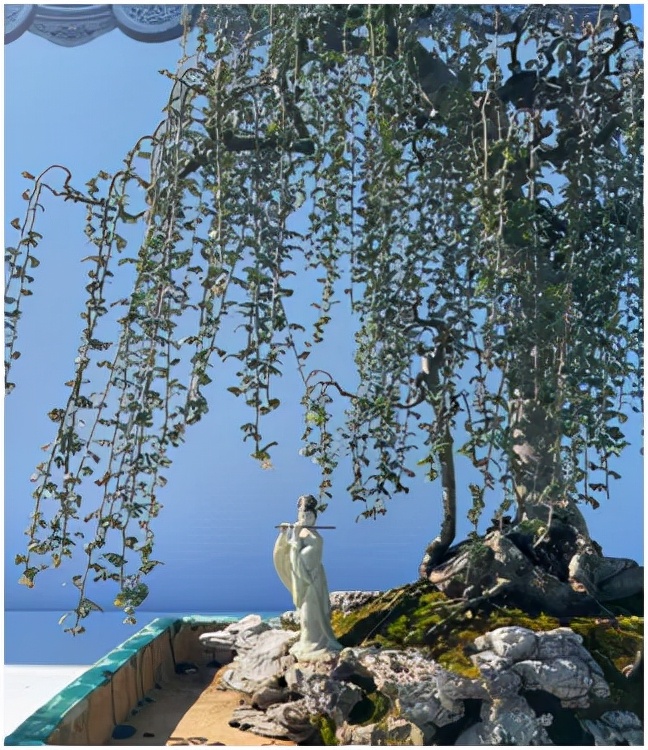 大美花都,广州花都竹洞村美景