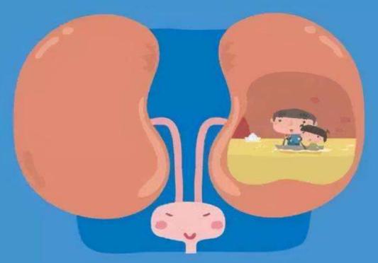 多尿肾脏不好,多尿与心理的关系