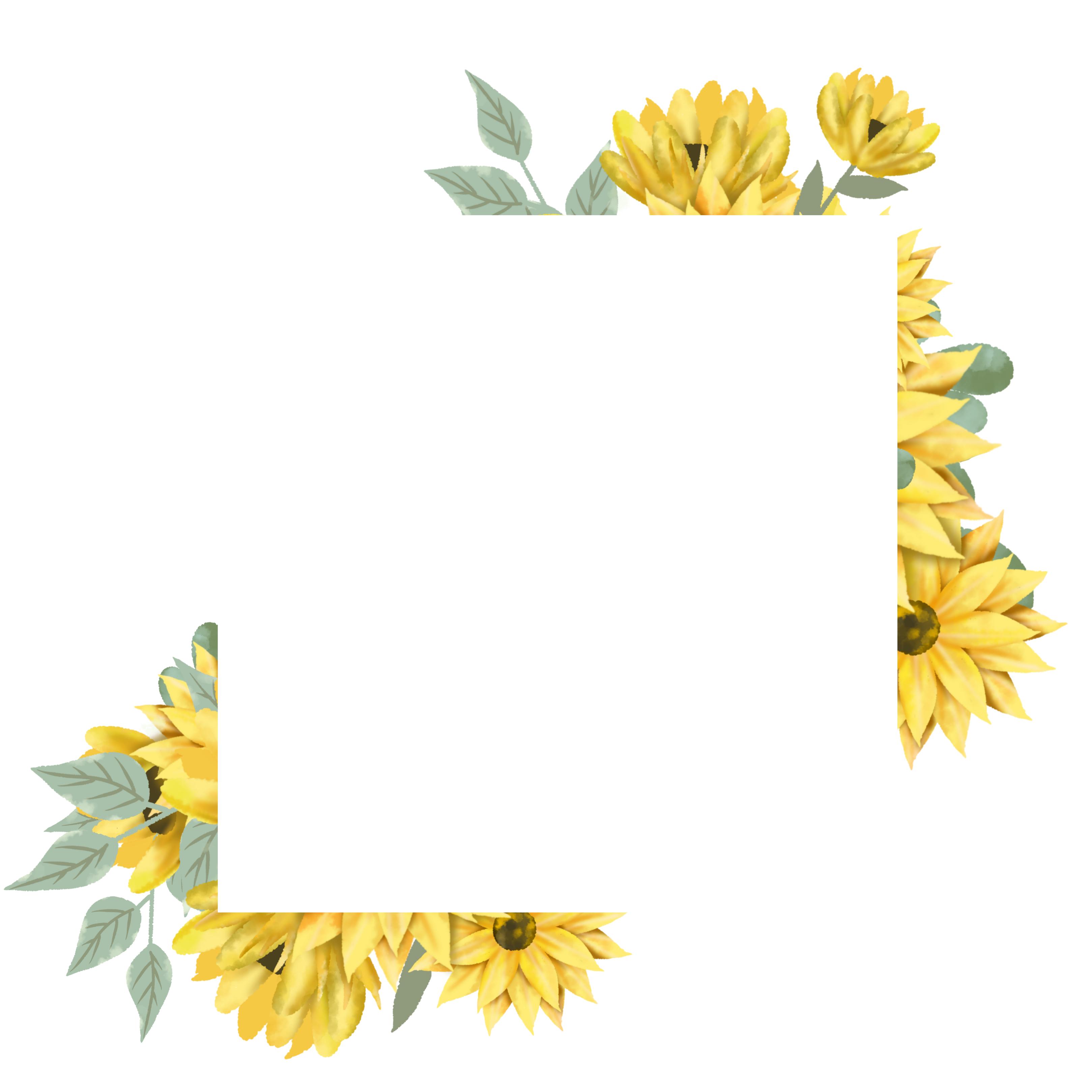 花式边框手绘图片,花式边框设计