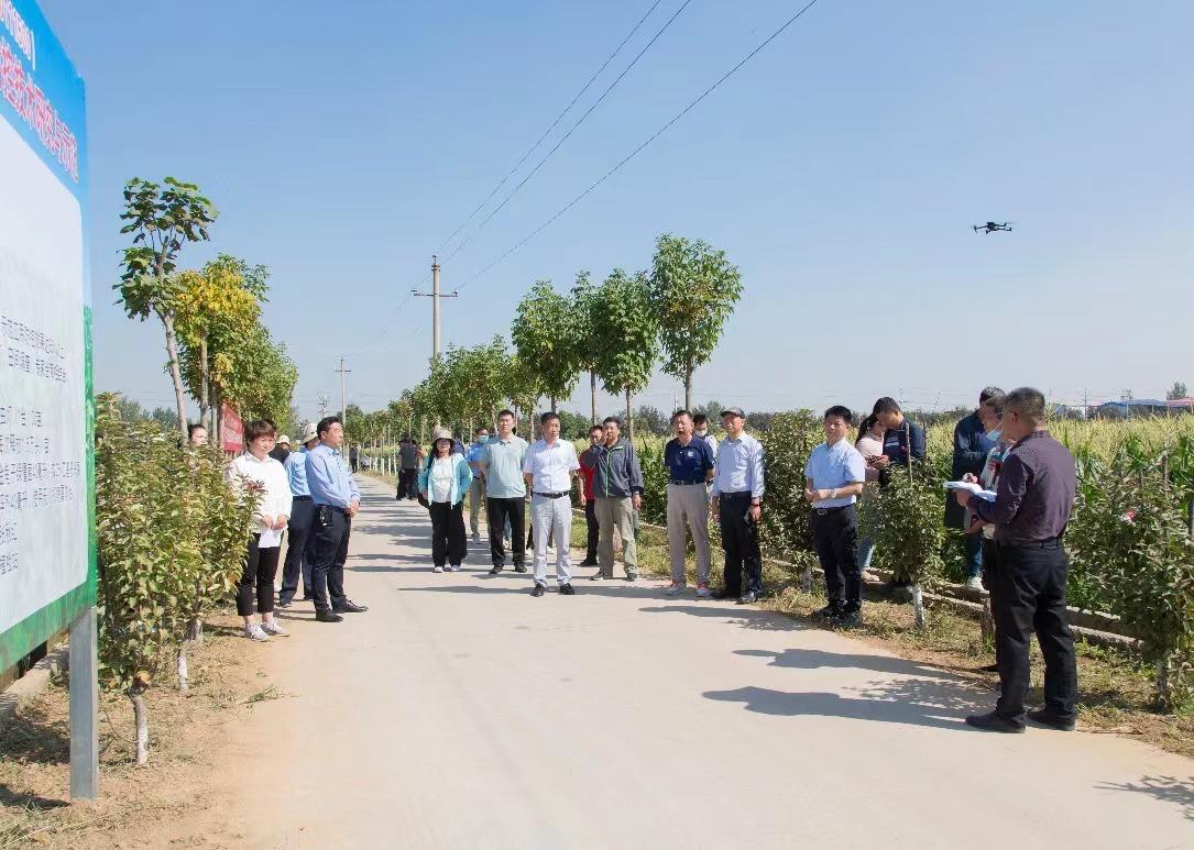 河南重大公益性科研专项防控“幺蛾子”效果显著