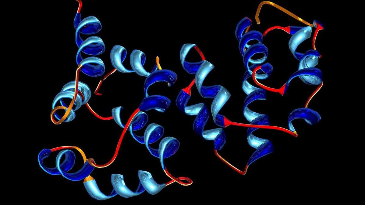 人体缺乏蛋白质需要哪些食物,人体缺少蛋白质吃哪些食物