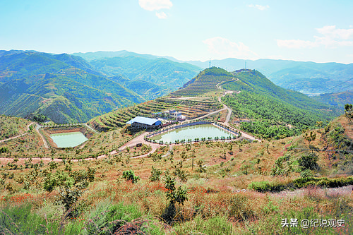 陕西一小墓出土价值超30亿珍宝,陕西穷人墓