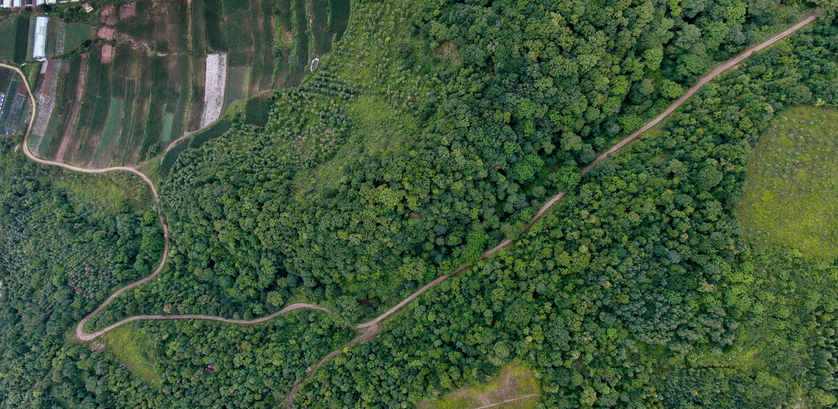 保定学院的专业排名,保定学院最好的专业是哪些