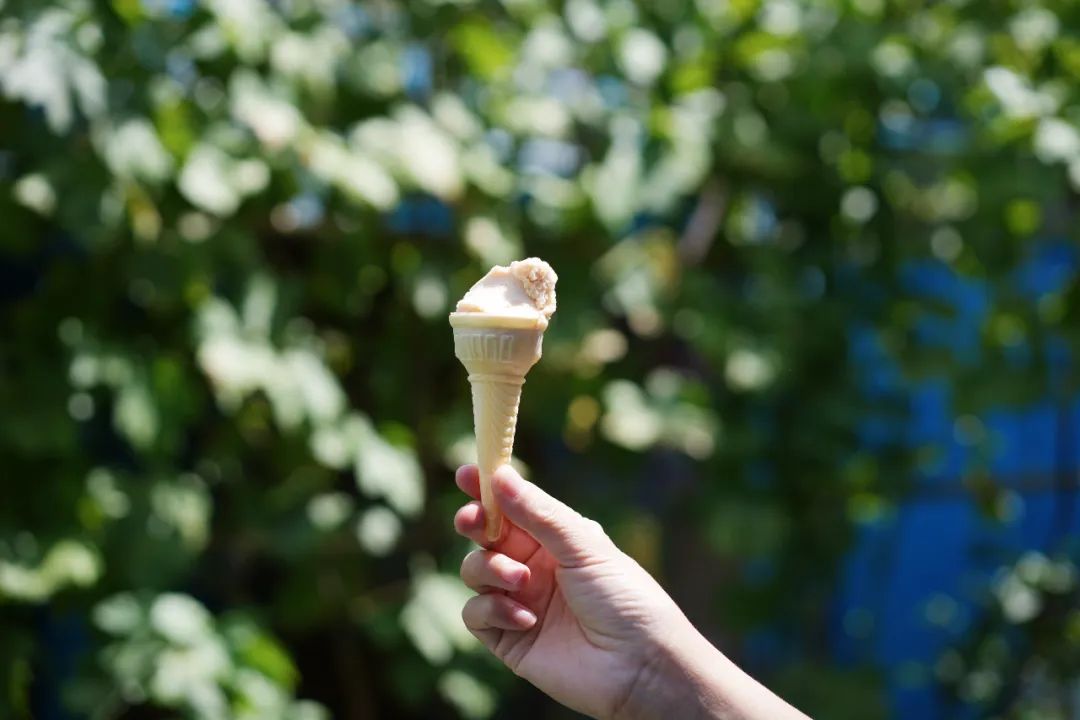 从伊犁出发的南北疆旅游攻略,火爆的新疆游