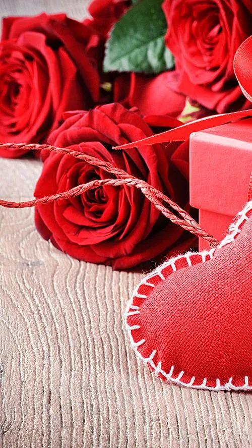 520浪漫玫瑰花壁纸,红玫瑰花壁纸大图