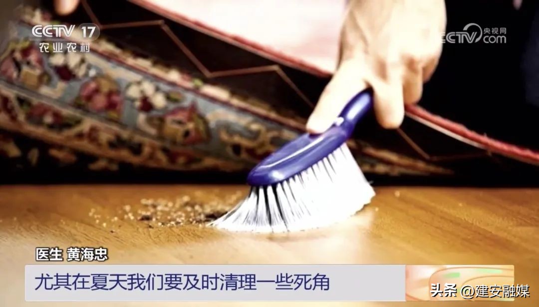 比其他人更容易被蚊子咬,容易被蚊子咬的原因是什么