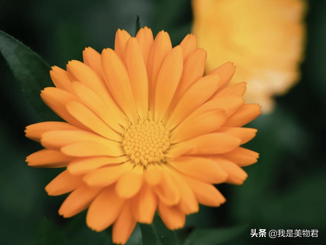 春敏的正确护肤方法是什么,春敏一定要补水吗