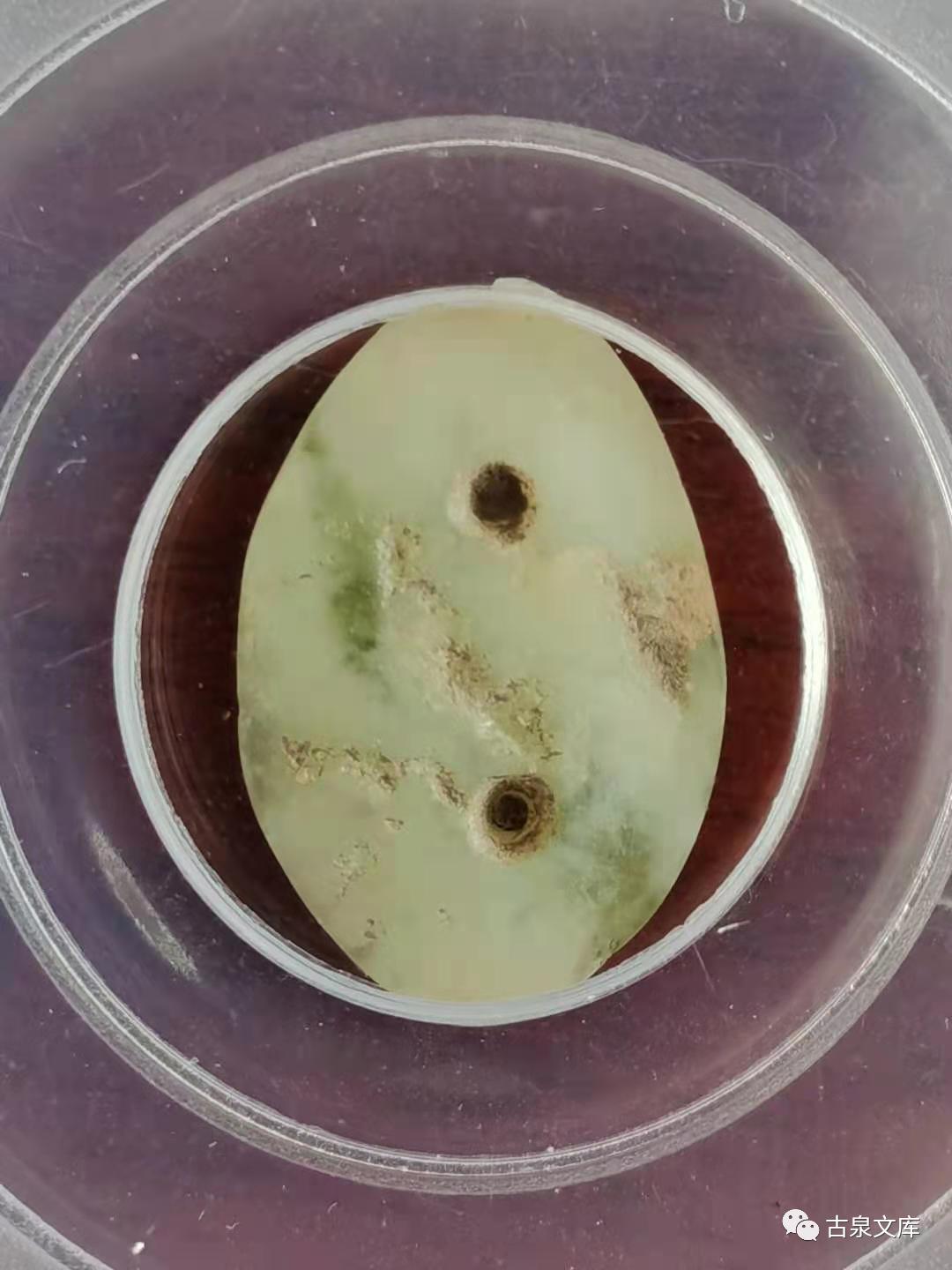 天然贝币真品价格,原始贝币发展史